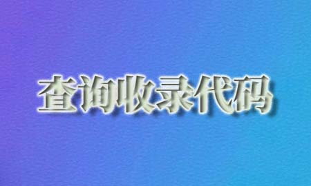 批量收录查询代码